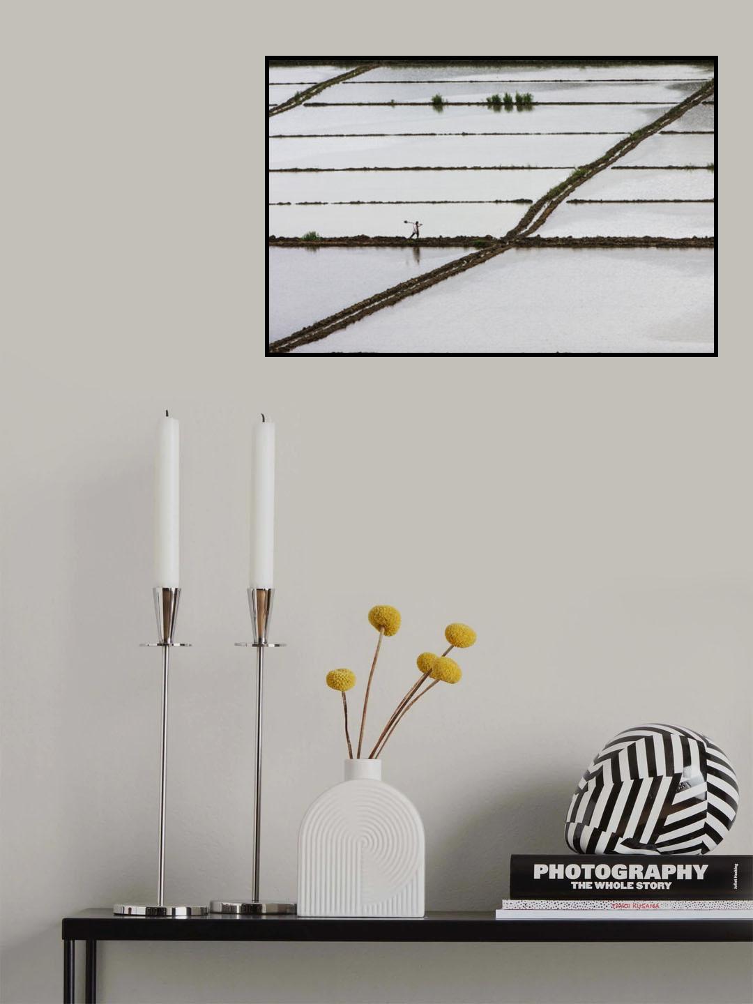 rice field worker Poster och Canvastavla