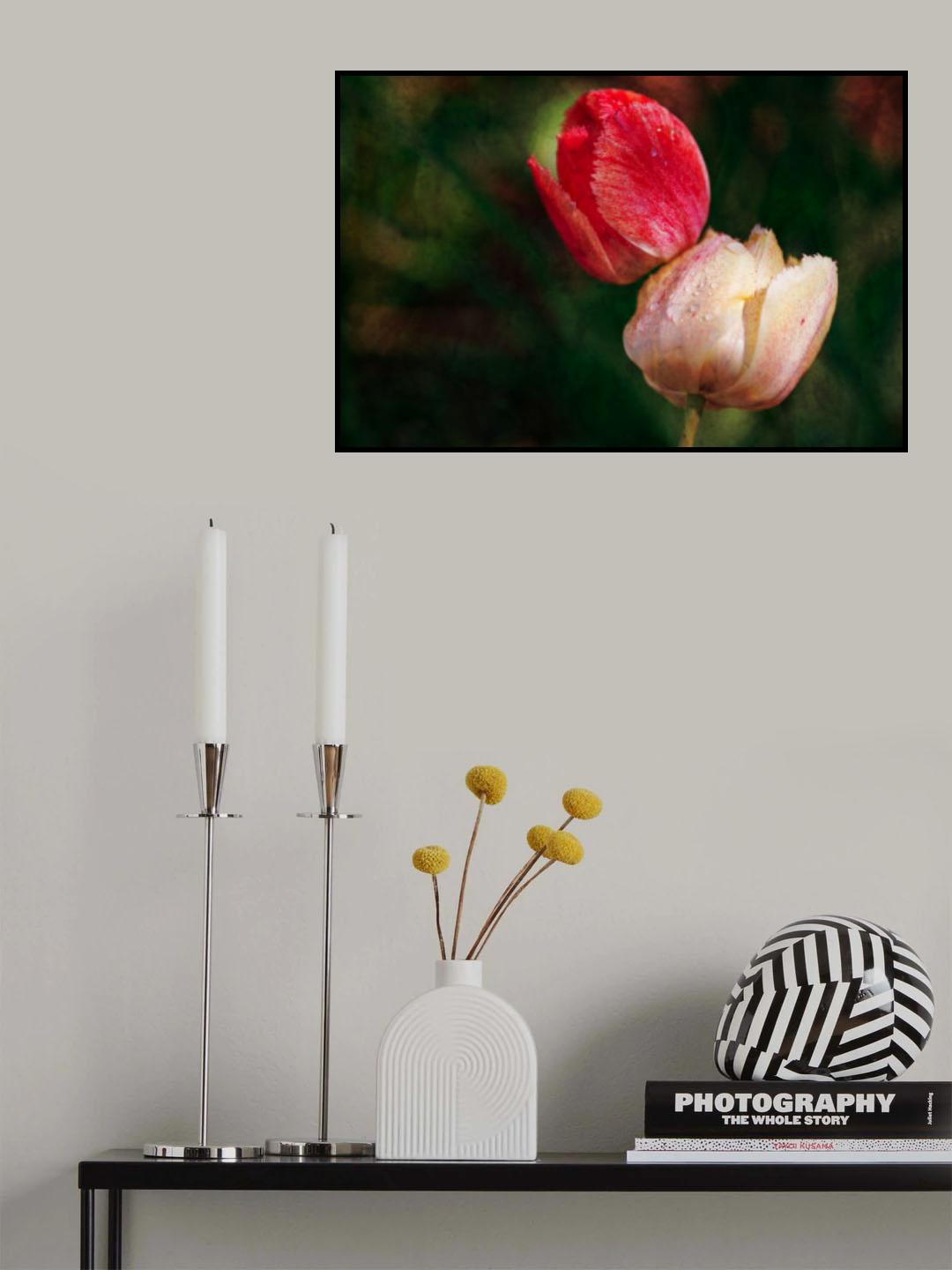 Tulips Poster och Canvastavla