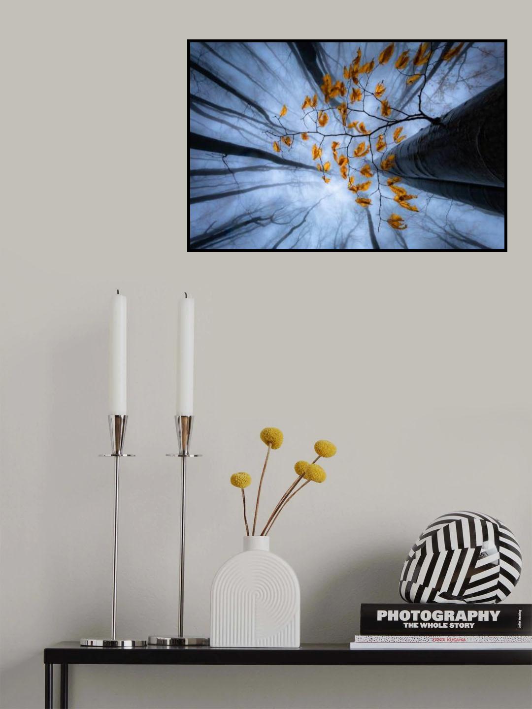 Autumn leaves Poster och Canvastavla