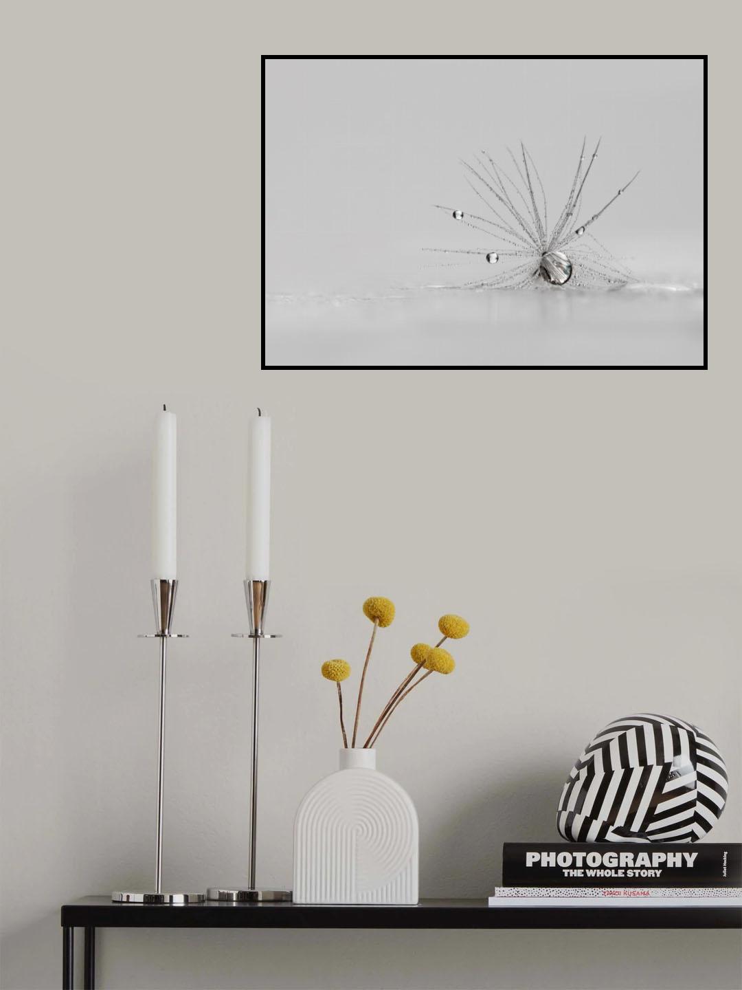 My Silver Spider Poster och Canvastavla