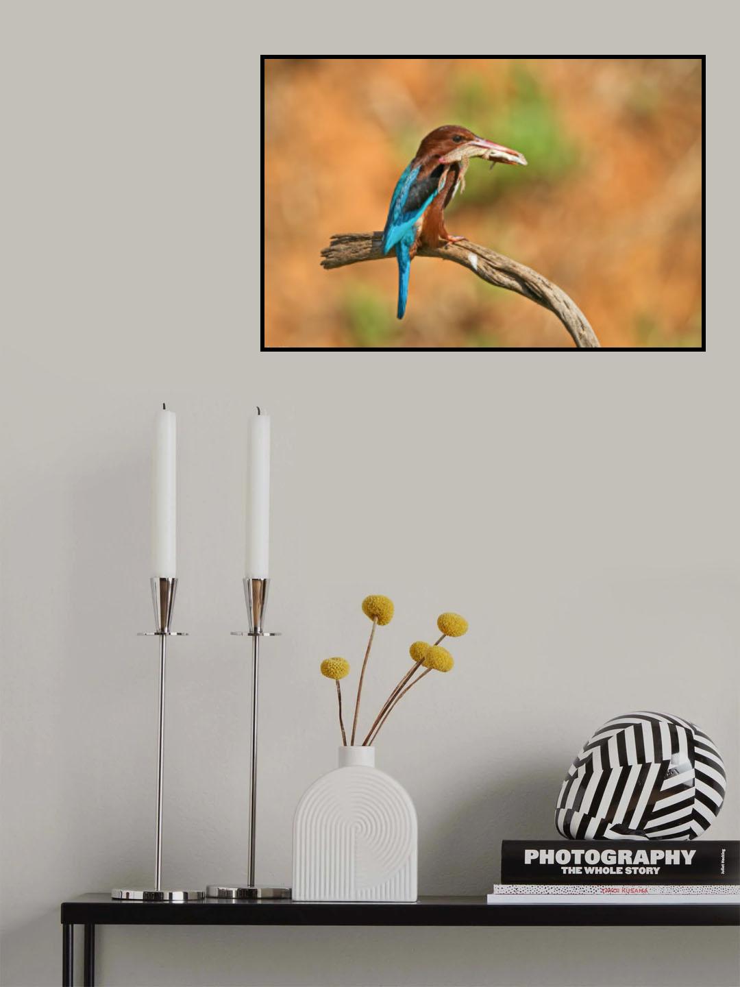 With prey in its beak Poster och Canvastavla