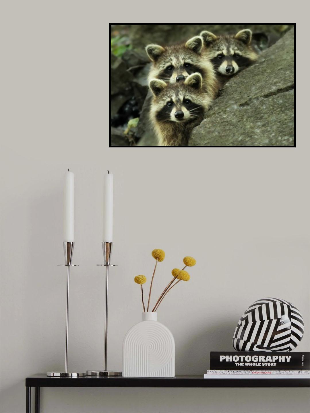Tres Banditos Poster och Canvastavla