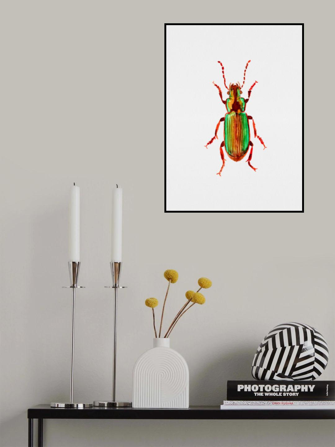 Carabidae ground beetle or Harpalus distinguendus Poster och Canvastavla