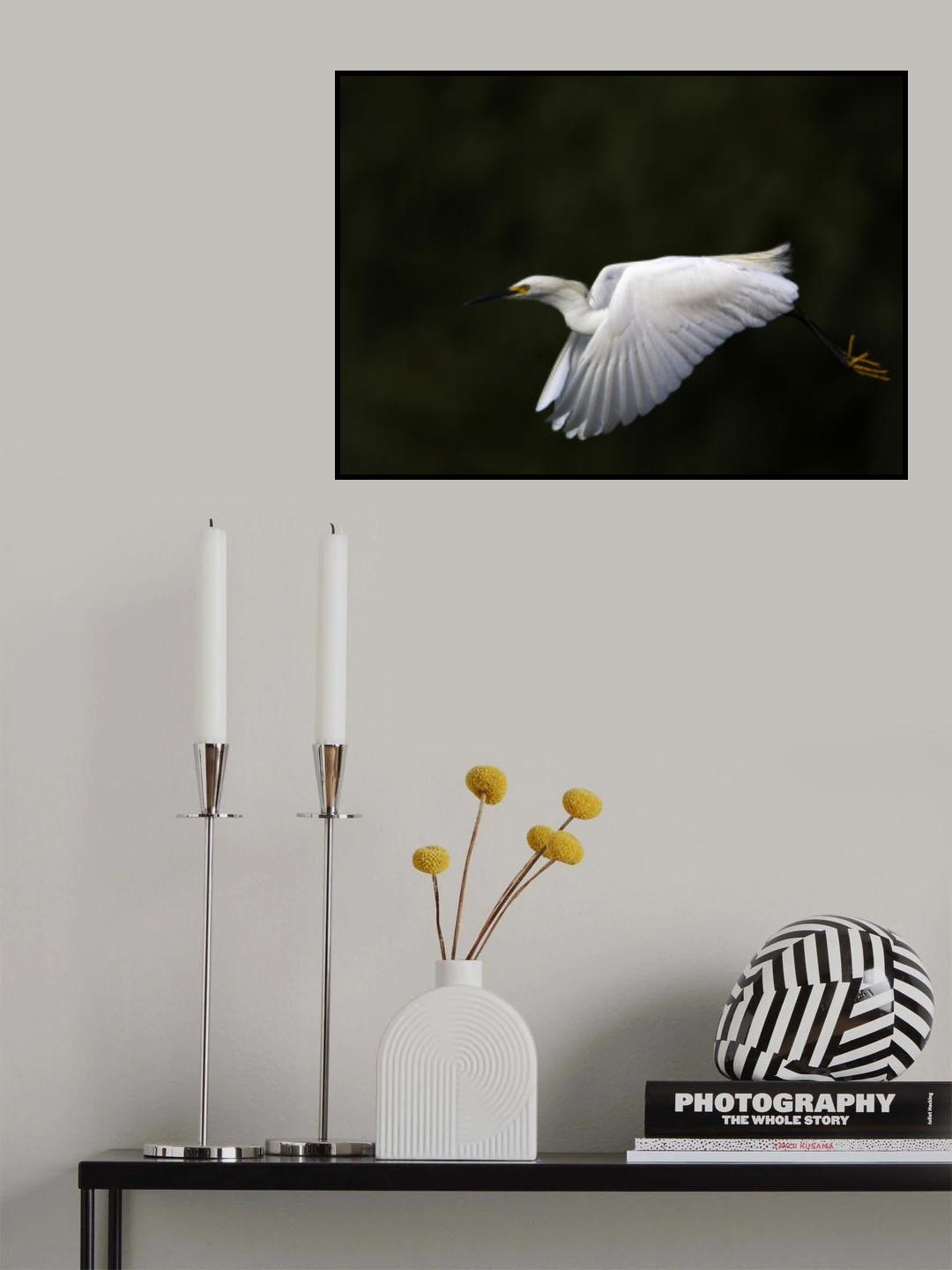 Fly by.... Poster och Canvastavla