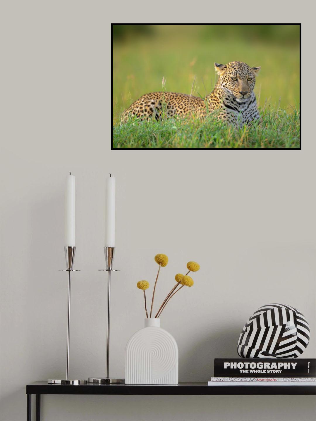 The Leopard Poster och Canvastavla