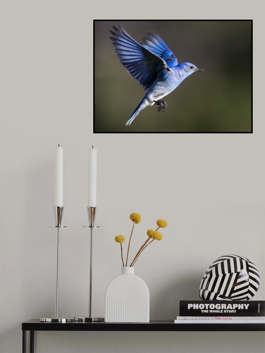 Mountain Blue Bird Poster och Canvastavla