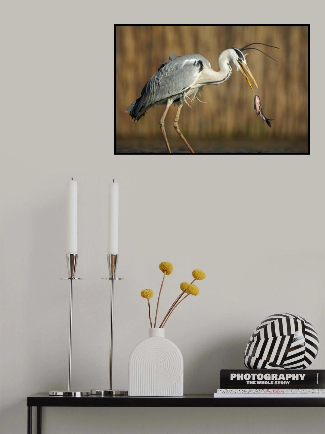 Oops Poster och Canvastavla