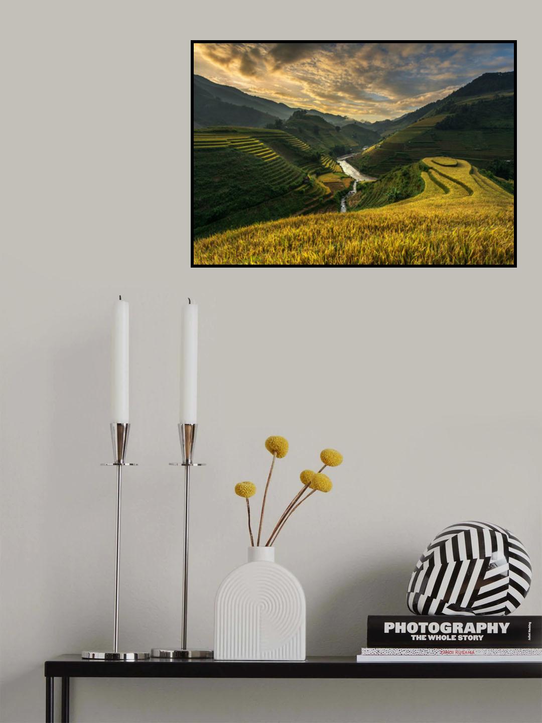 RiceTerrace ( vietnam) Poster och Canvastavla