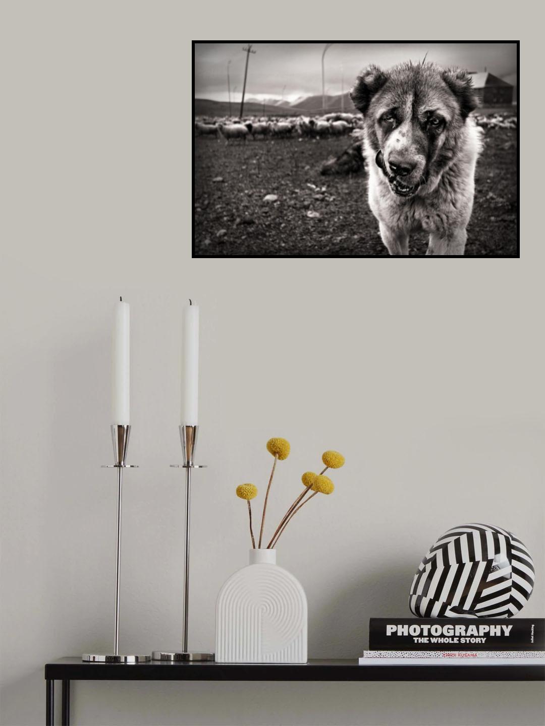 My Territory Poster och Canvastavla
