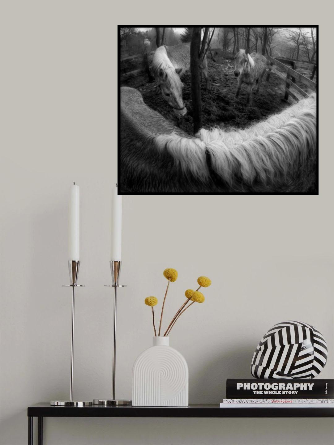 In the garden Poster och Canvastavla