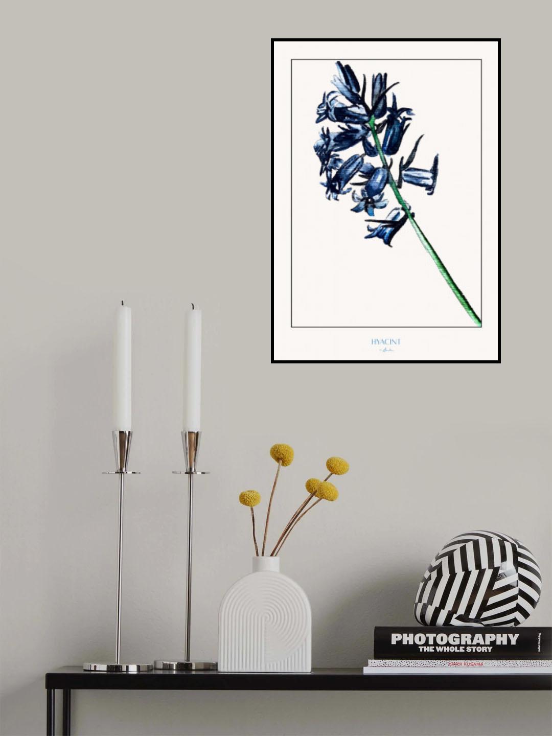 Hyacint Poster och Canvastavla