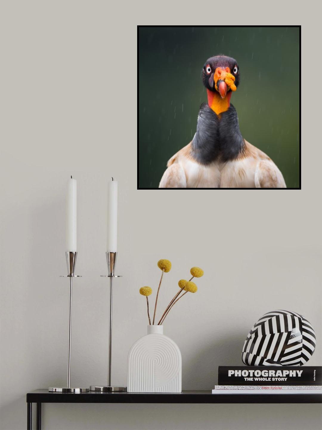 King of the Hill Poster och Canvastavla