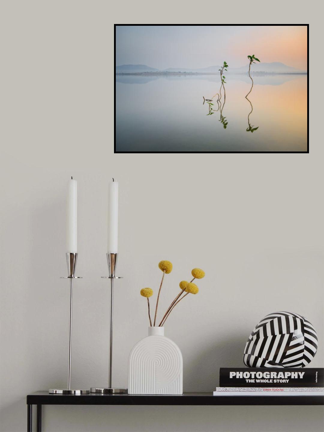 Reflection of Life Poster och Canvastavla