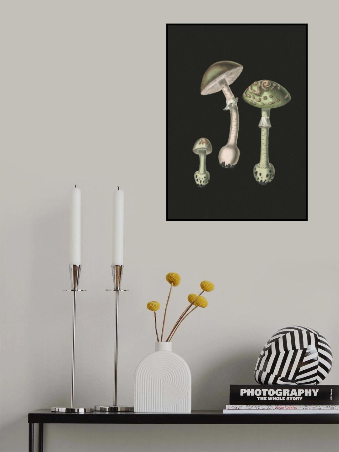 Amanita Muscaria Dark Background Poster och Canvastavla