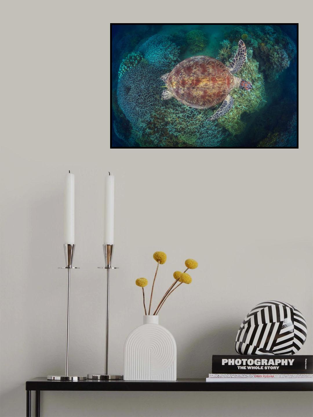 N'Gouja Reef Poster och Canvastavla