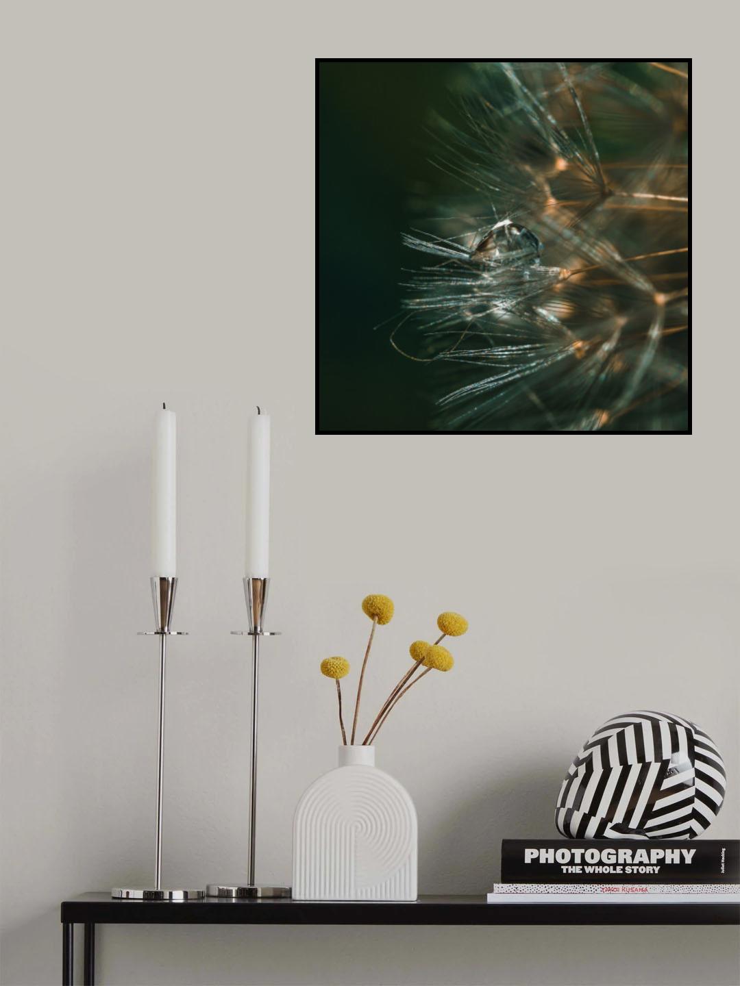 noble dandelion Poster och Canvastavla