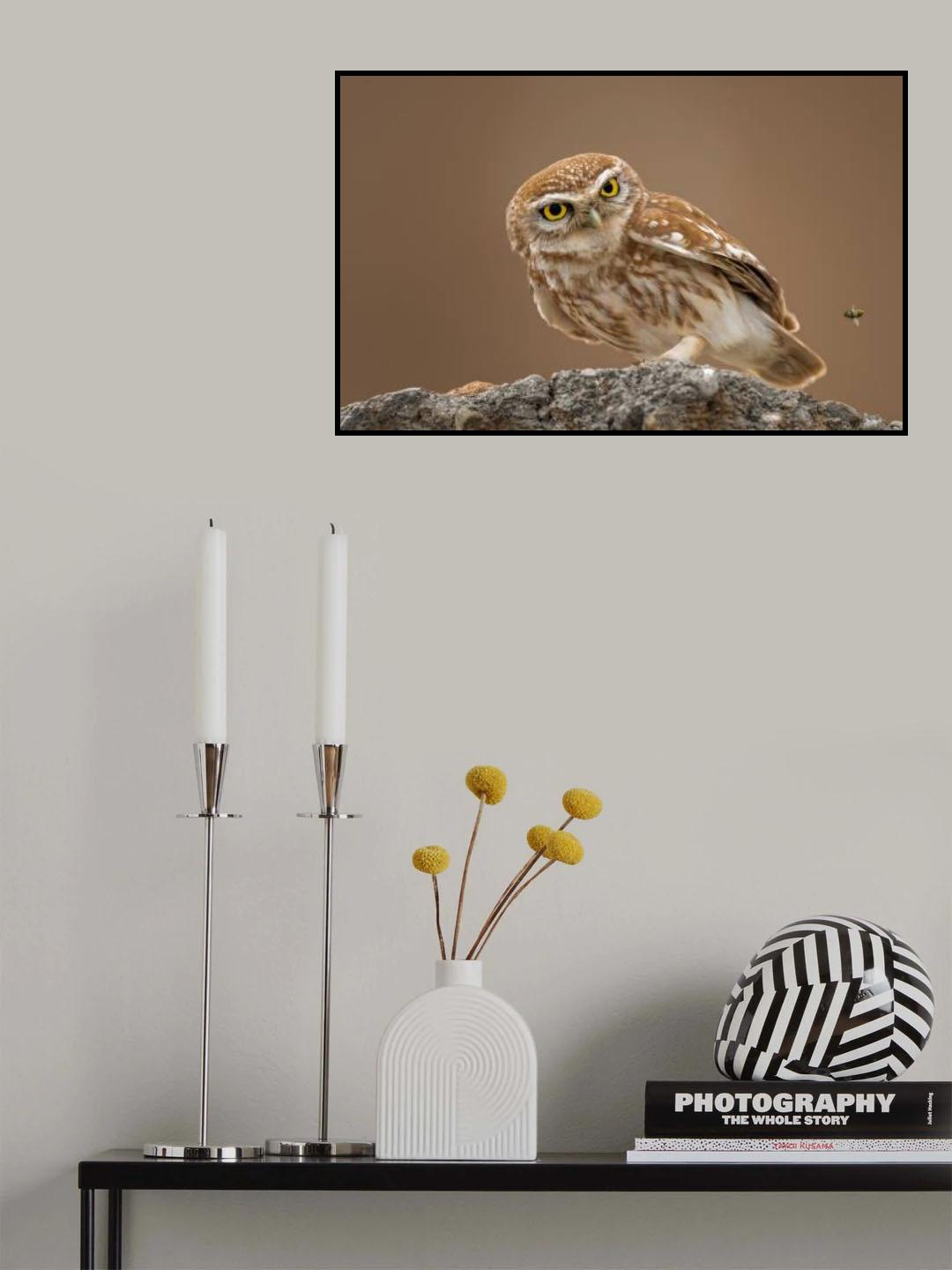 Poster och Canvastavla