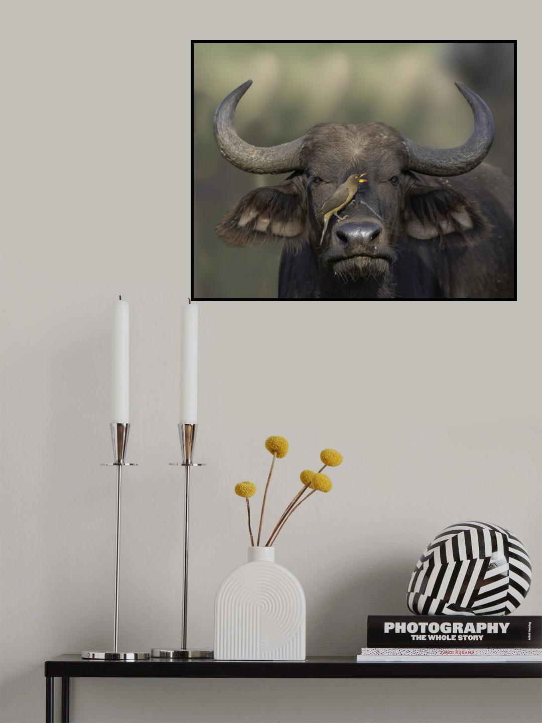 Cosmetics Poster och Canvastavla