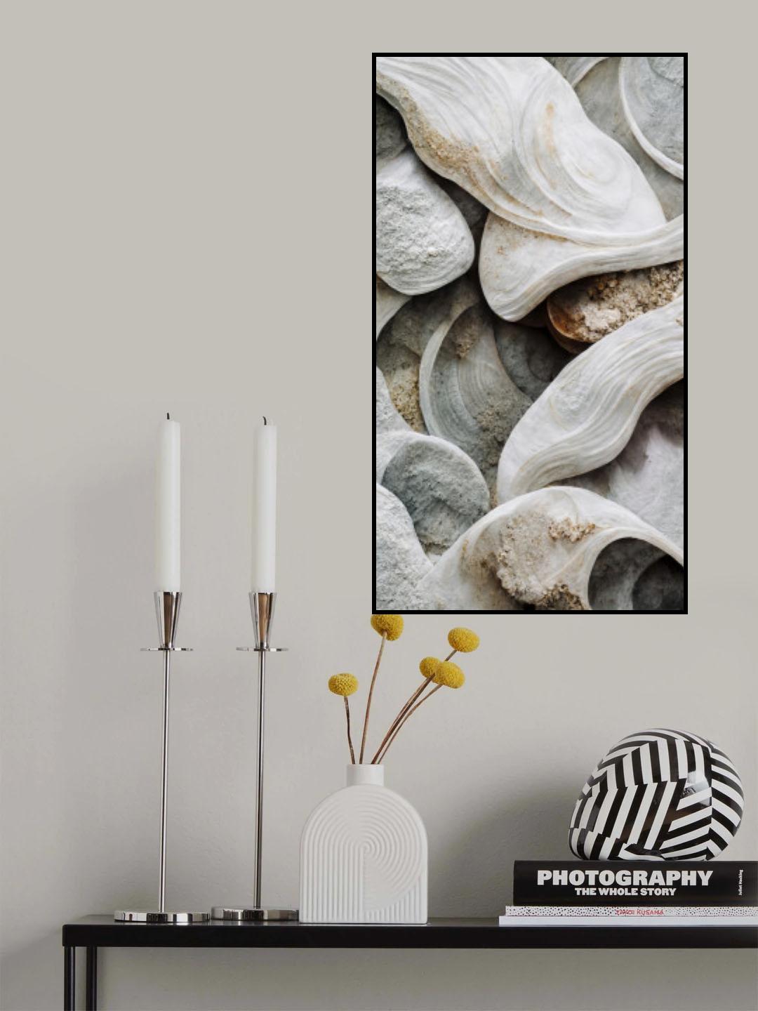 Sea Shells Detail No 3 Poster och Canvastavla