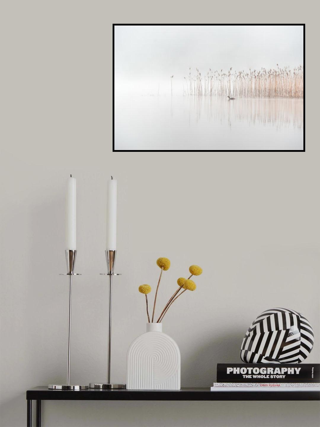Days in the fog Poster och Canvastavla