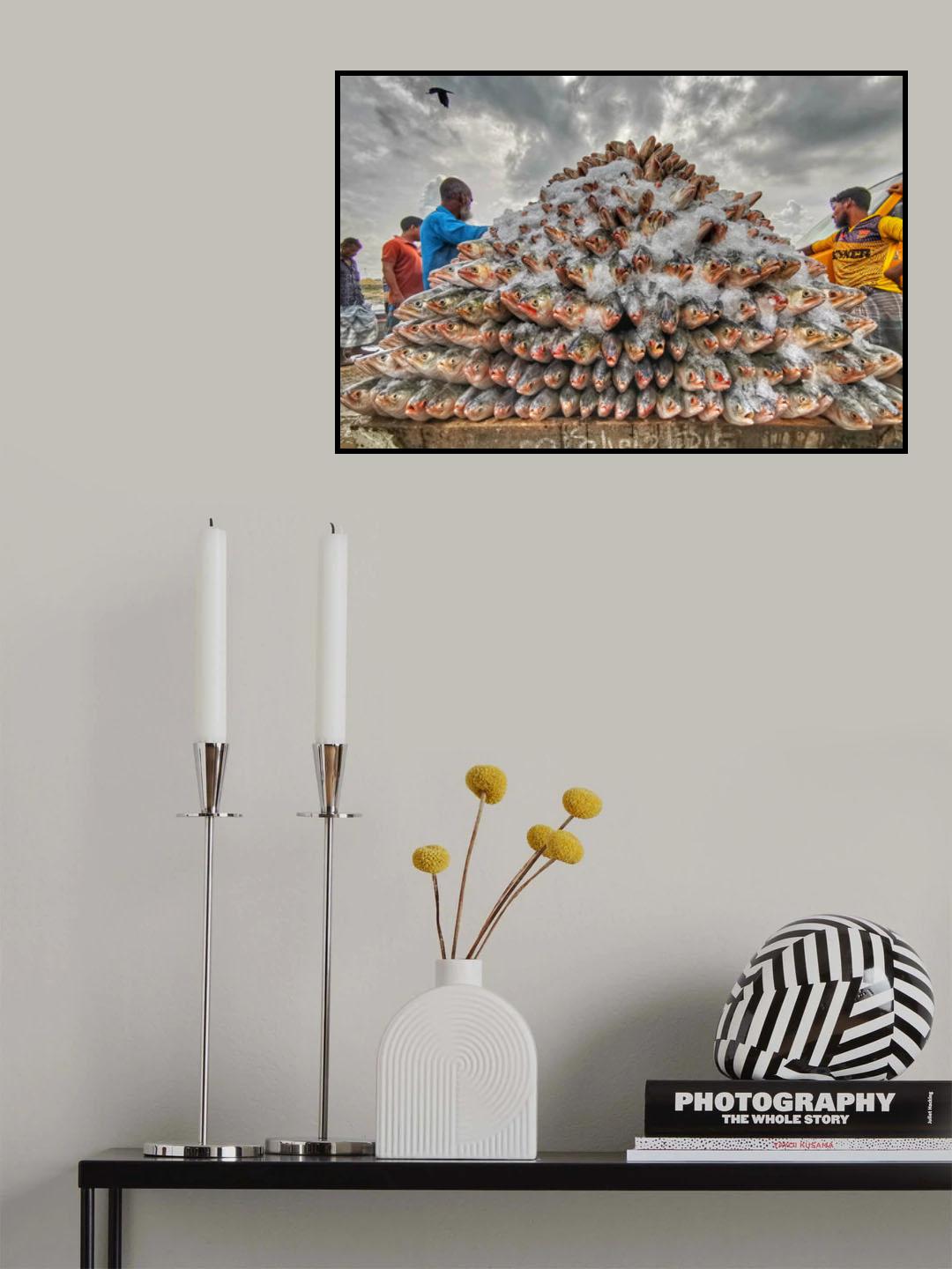 Hilsa Poster och Canvastavla
