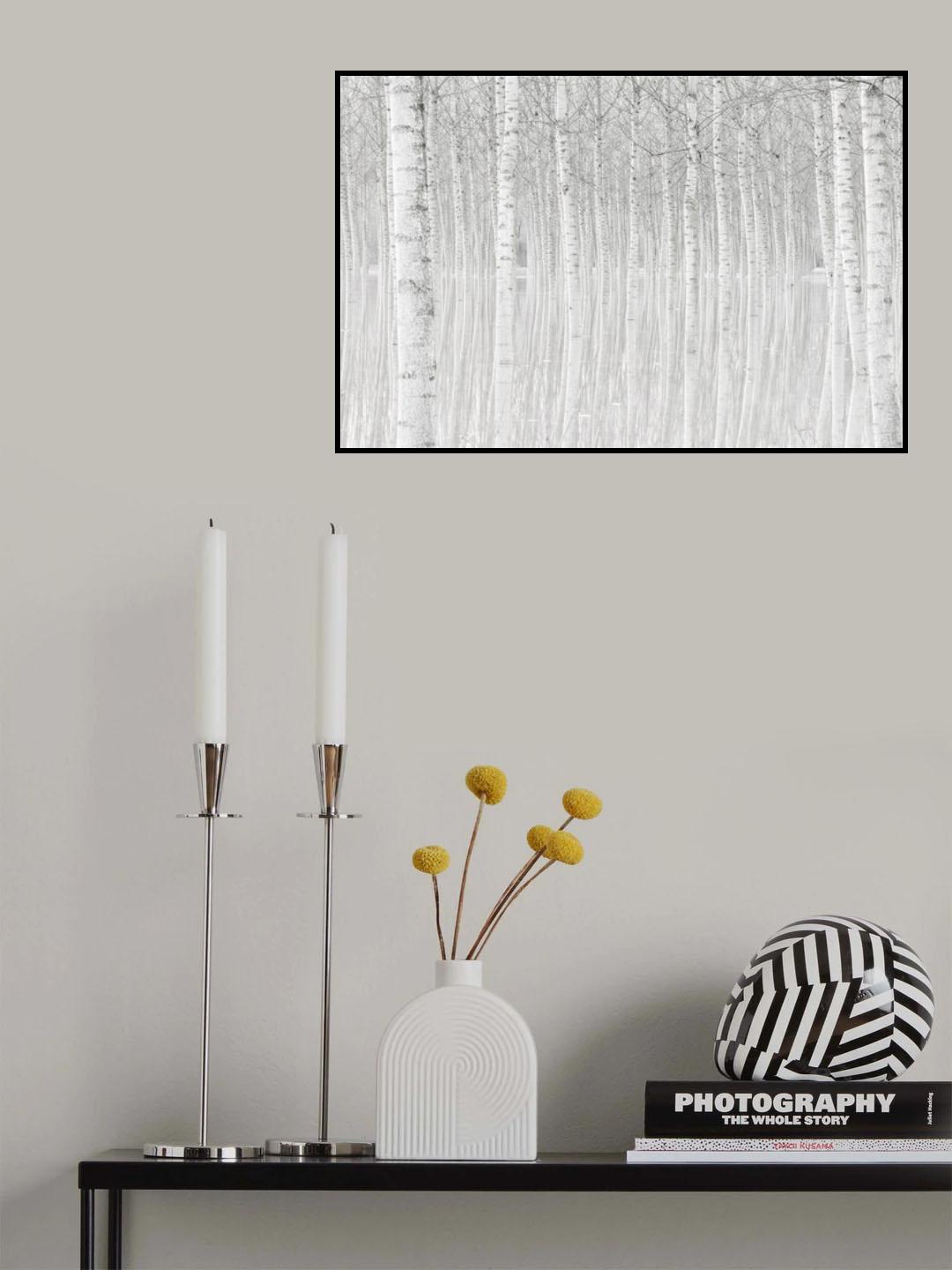 Trees Poster och Canvastavla