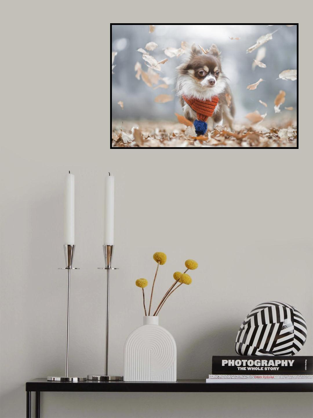 MEME Poster och Canvastavla