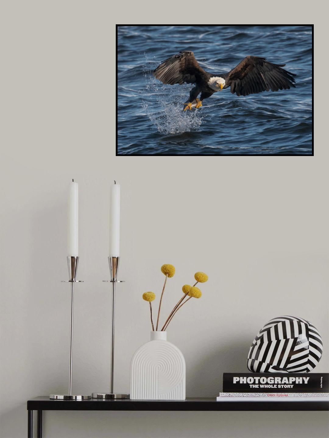 Eagle on the Mississippi River Poster och Canvastavla
