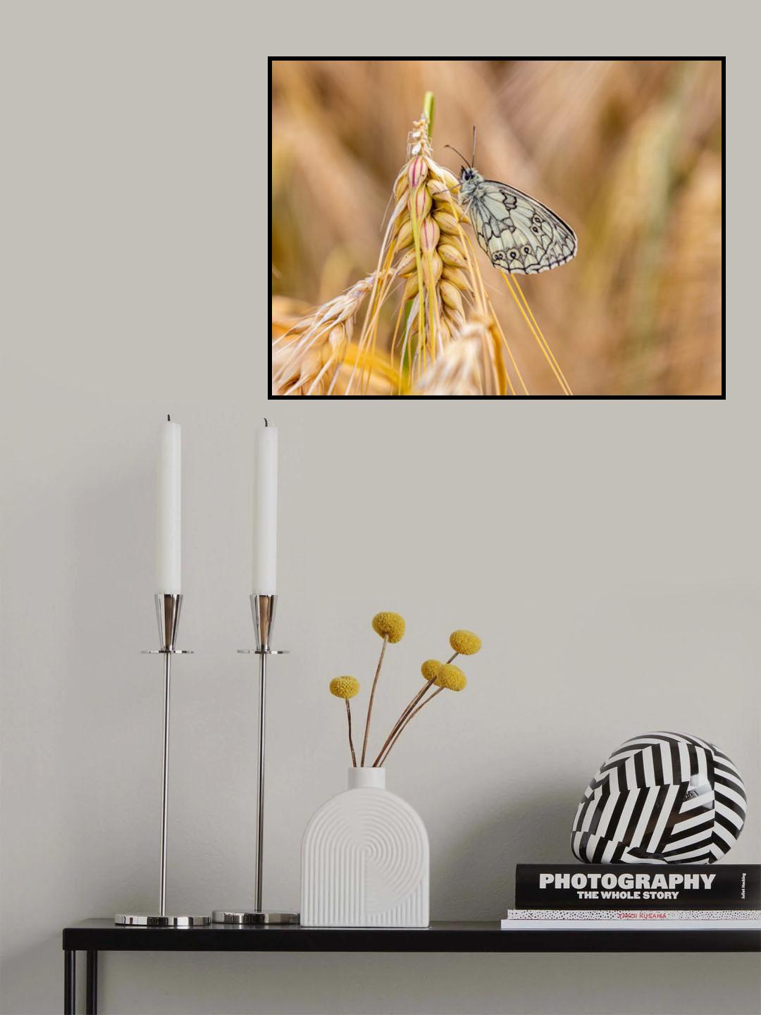 B&W butterfly Poster och Canvastavla