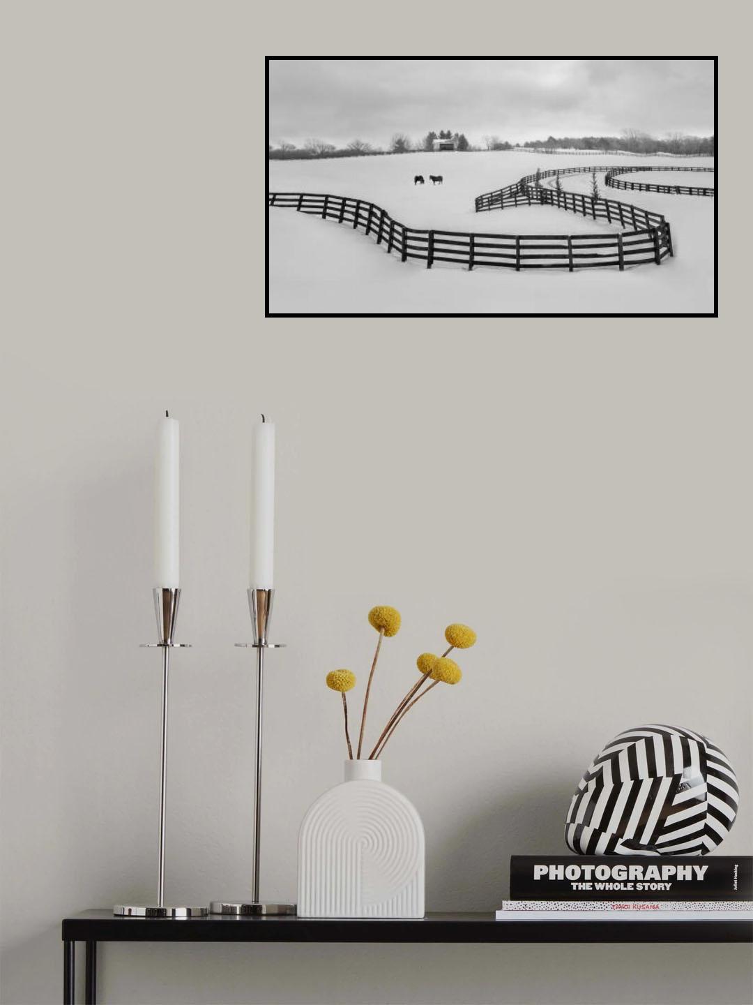 Winter Snake Poster och Canvastavla