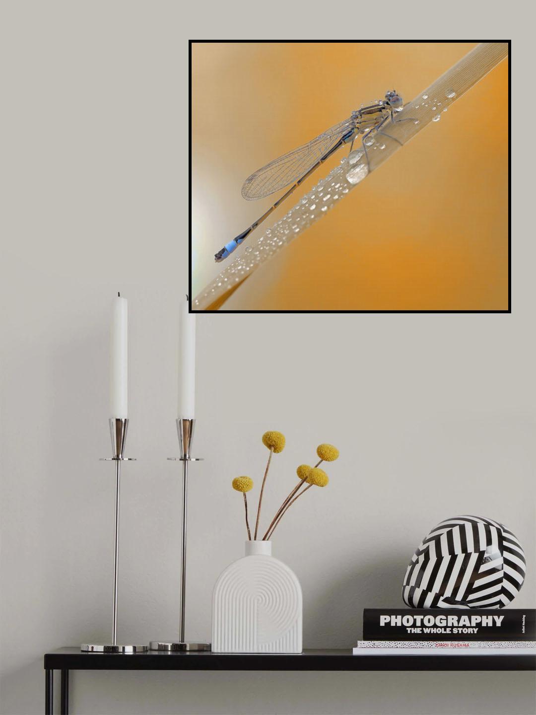 Autumn rain... Poster och Canvastavla
