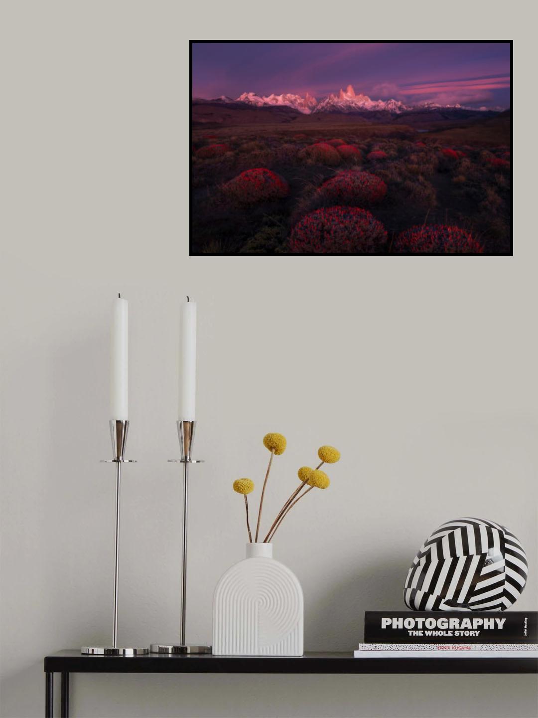 Spring in Torres del Paine Poster och Canvastavla