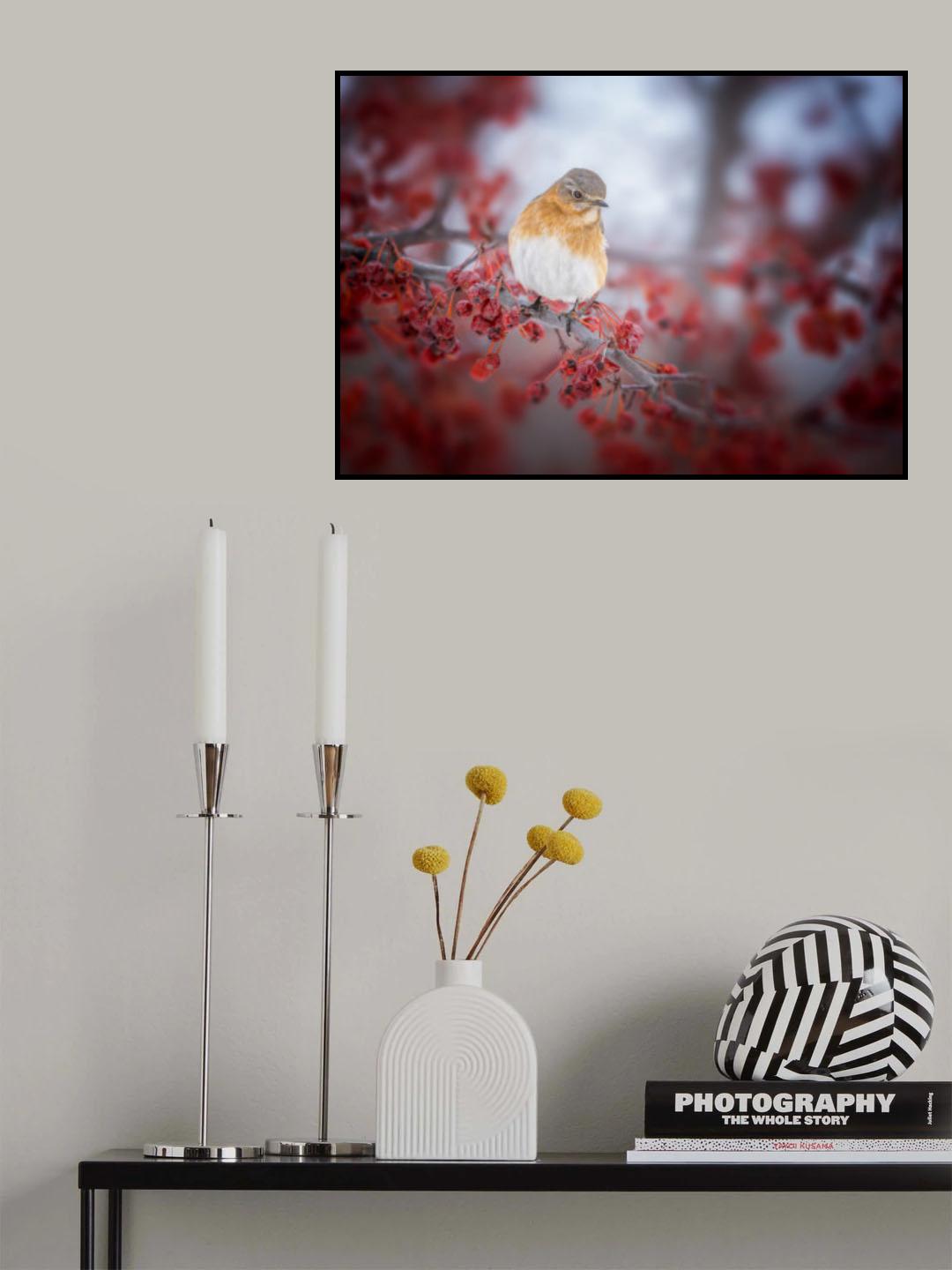 bluebird & scarlet fruit Poster och Canvastavla