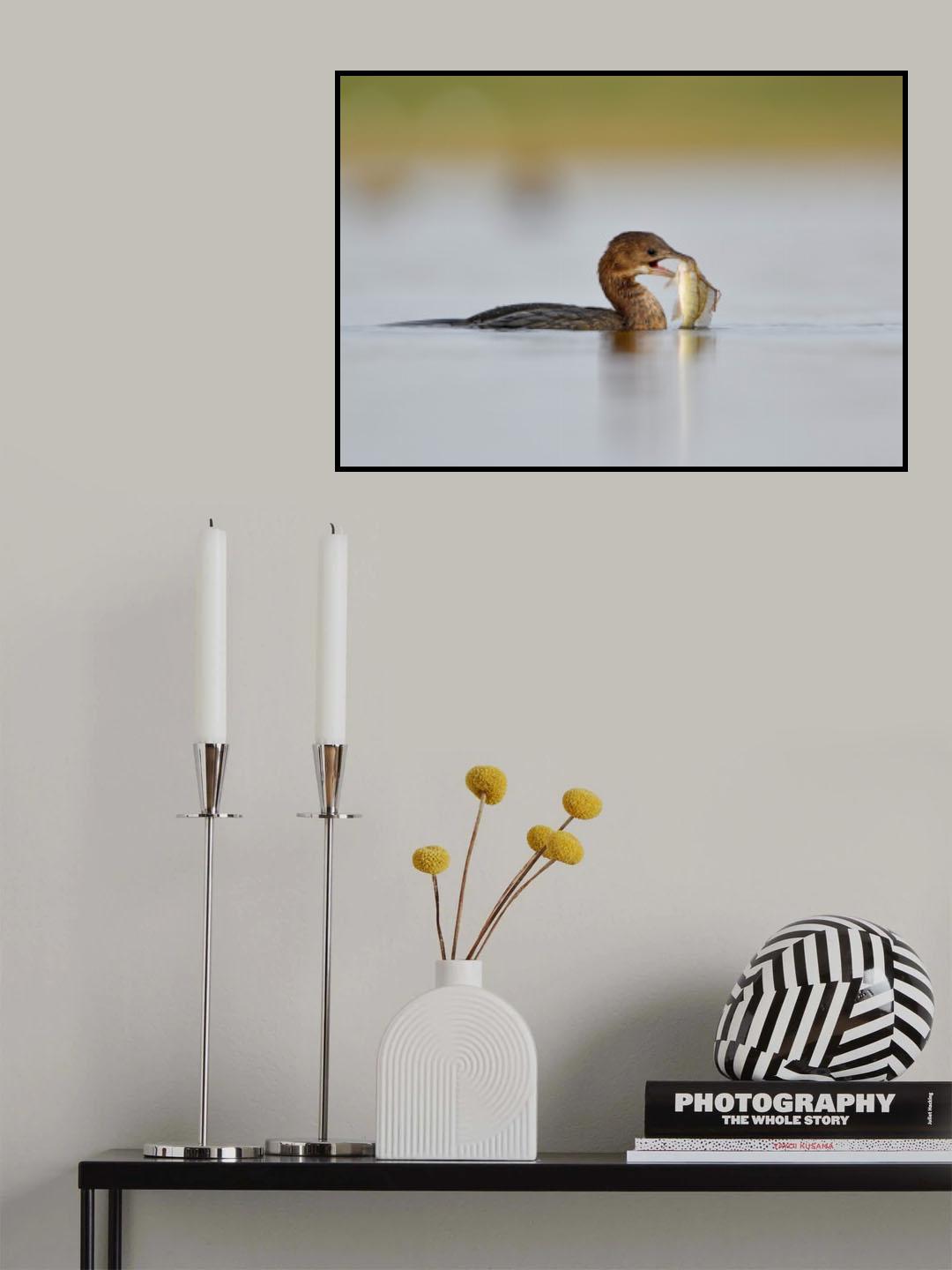 Poster och Canvastavla