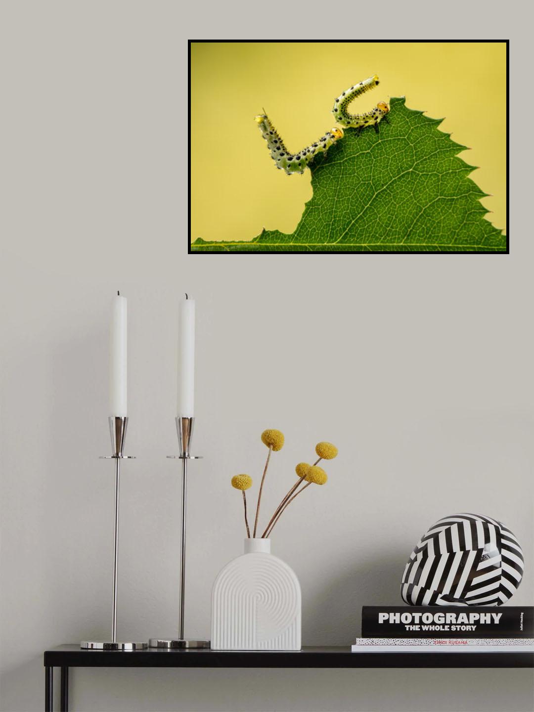 Eating out together. Poster och Canvastavla