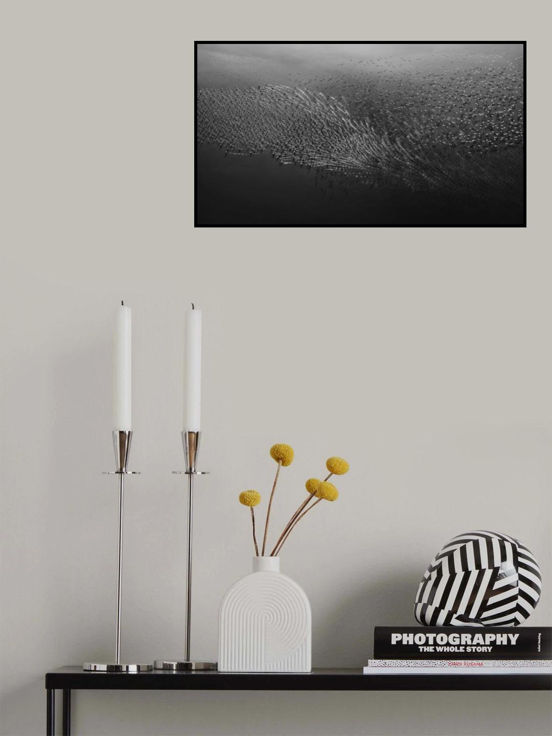 Morning Flight Poster och Canvastavla