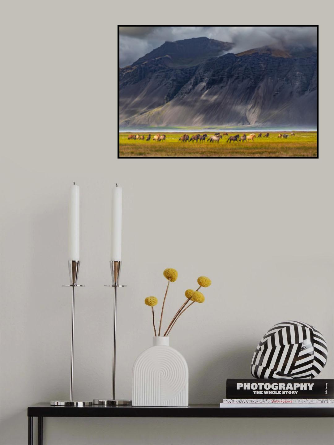 Freedom Poster och Canvastavla
