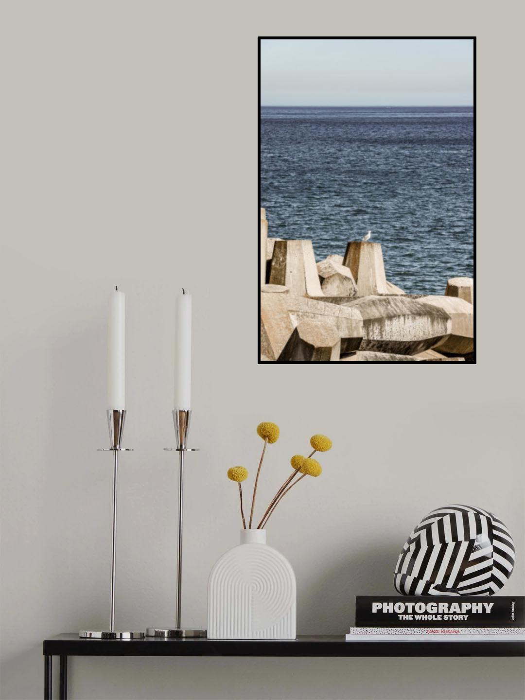 Sea Bird Poster och Canvastavla