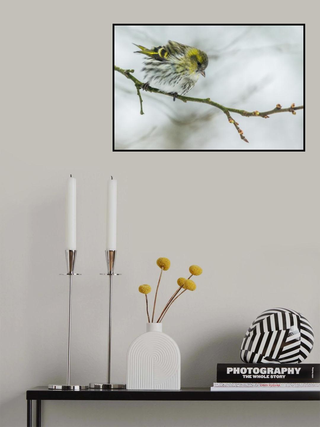 a grey cold winter morning Poster och Canvastavla