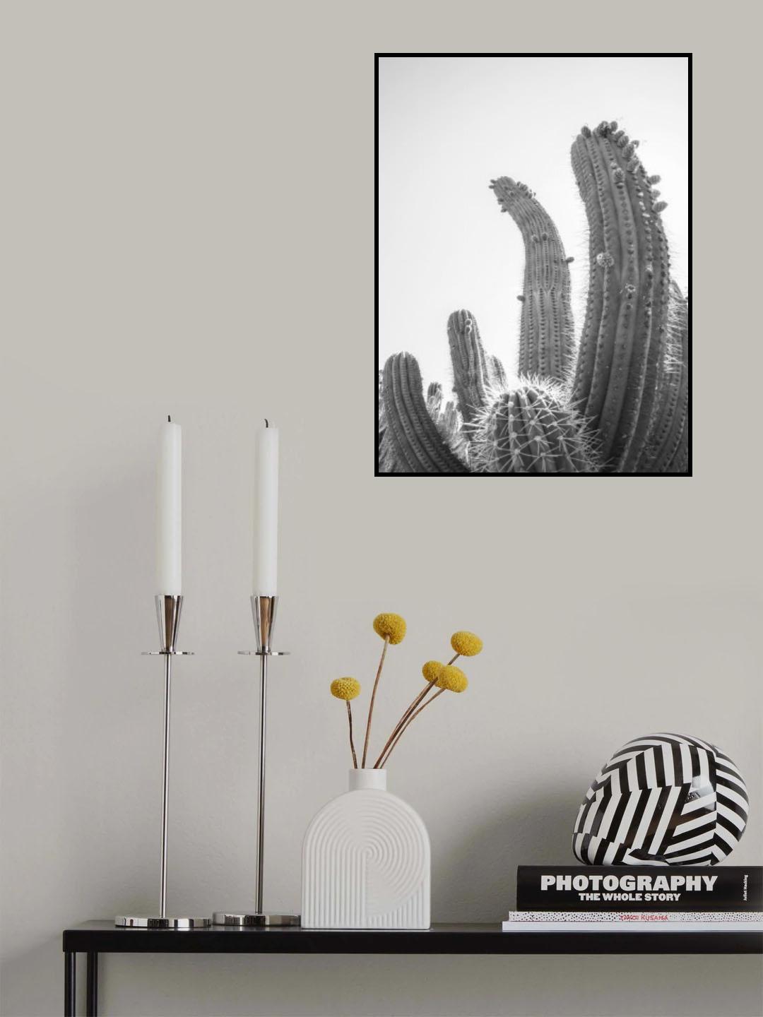 Cactus Poster och Canvastavla