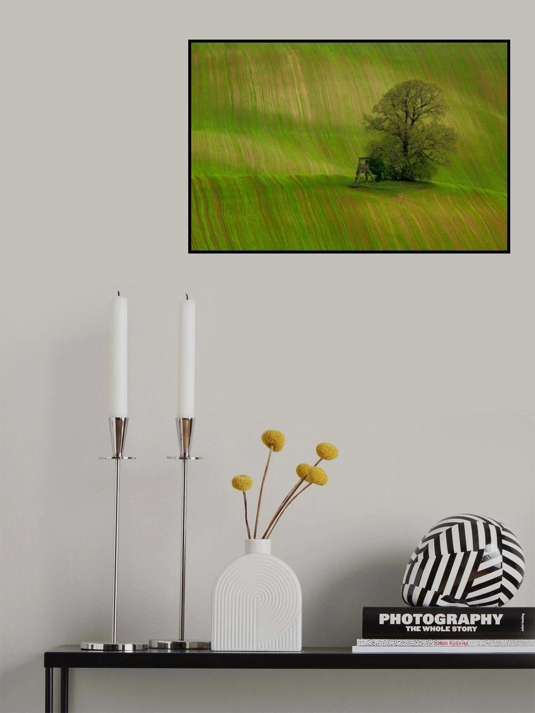 Spring field Poster och Canvastavla