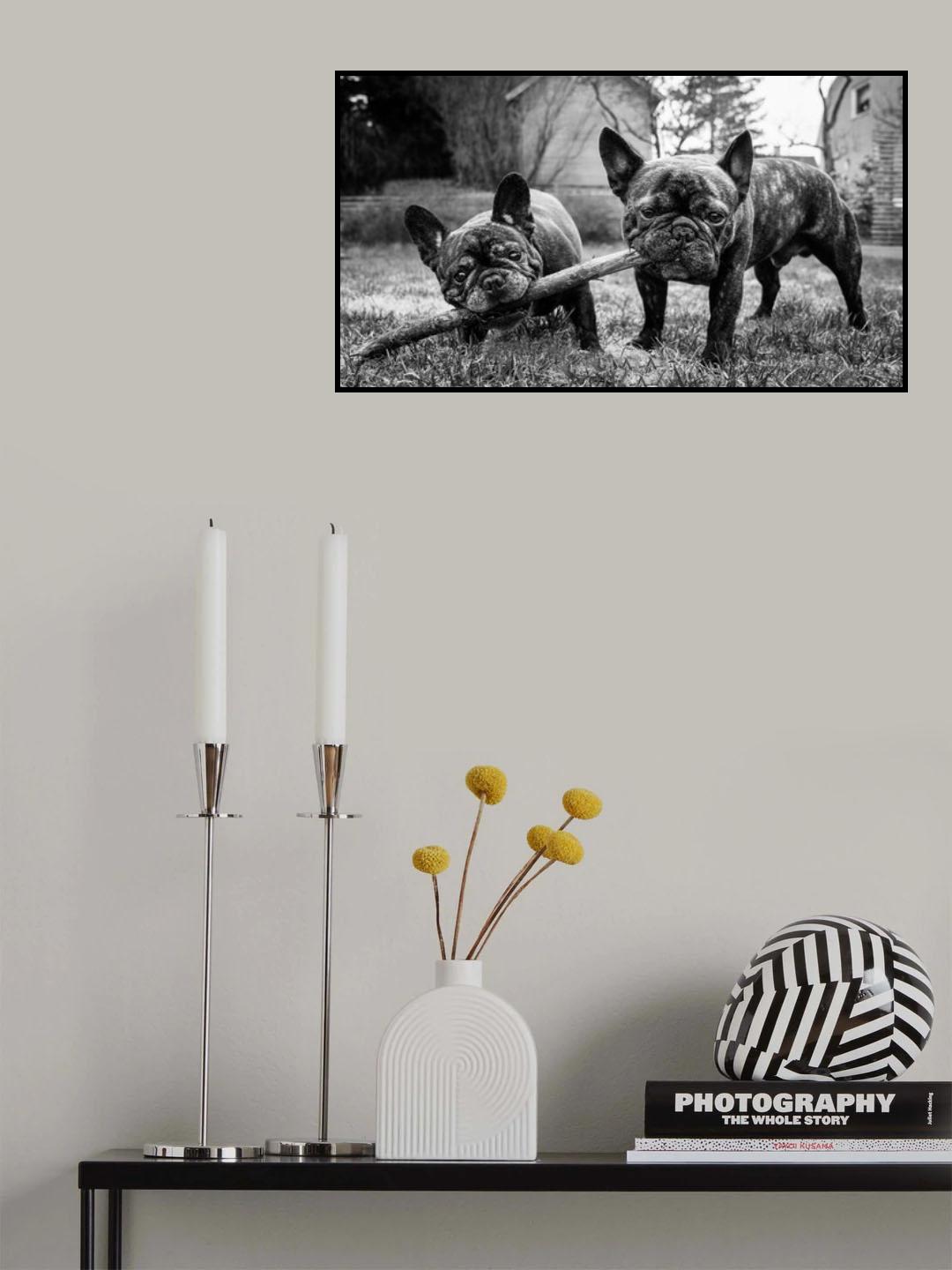 Sharing is caring Poster och Canvastavla