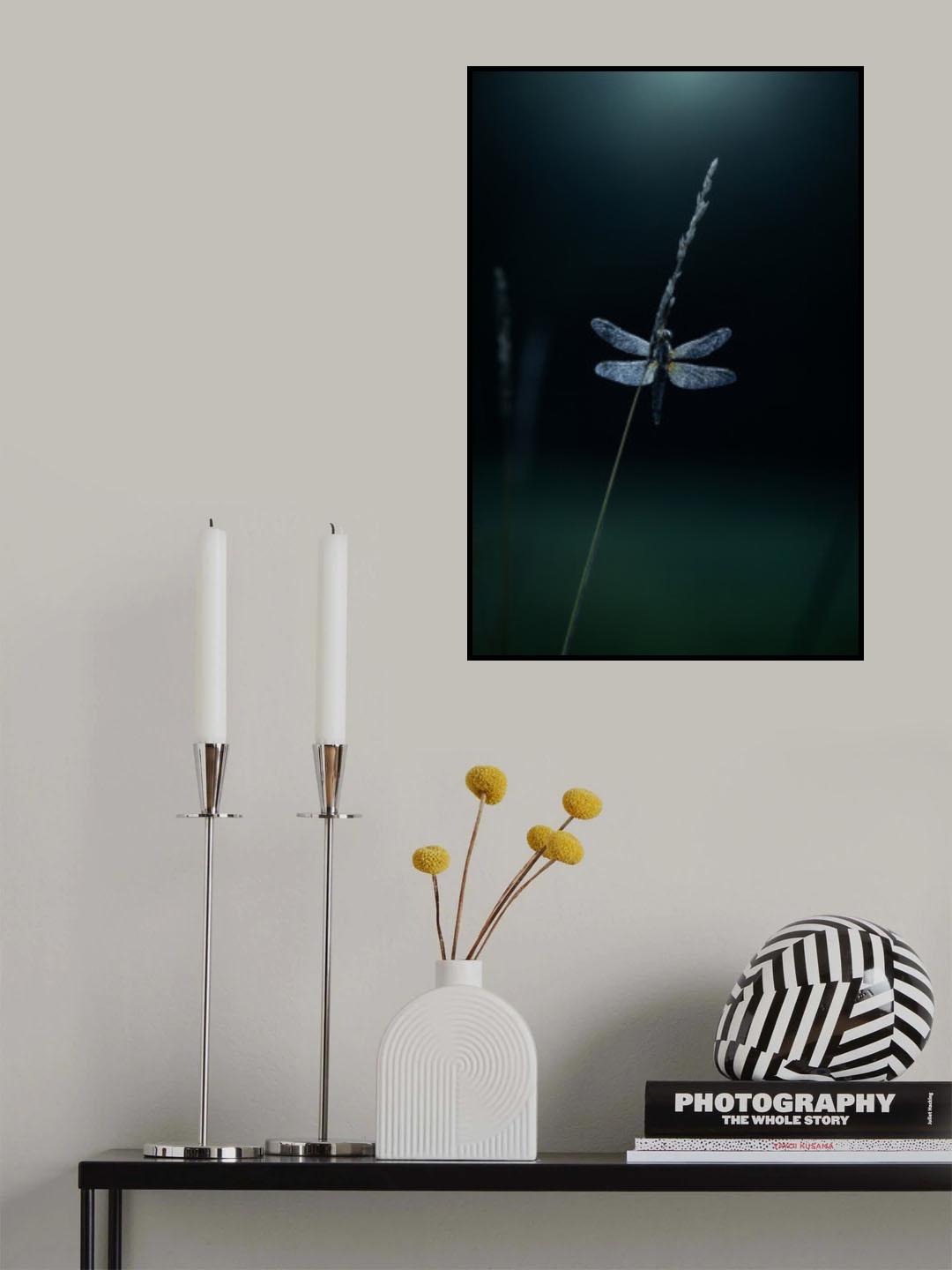 Morning dewⅢ Poster och Canvastavla