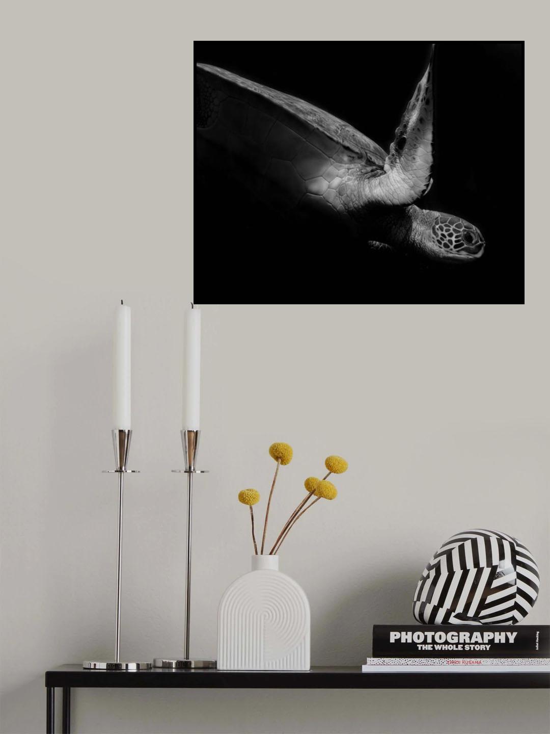 Portrait of a sea turtle in black and white (II) Poster och Canvastavla