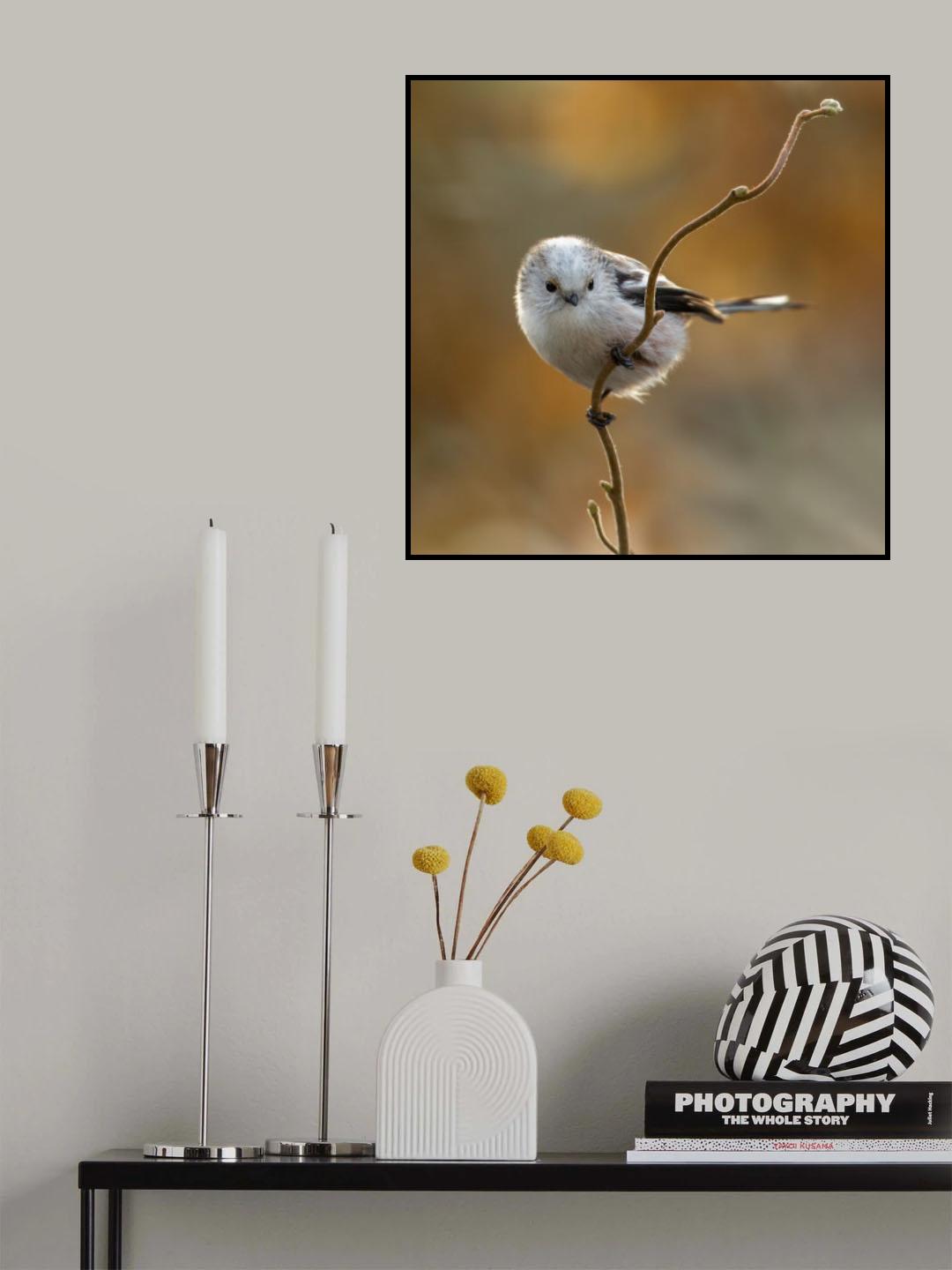 long - tailed tit. Poster och Canvastavla