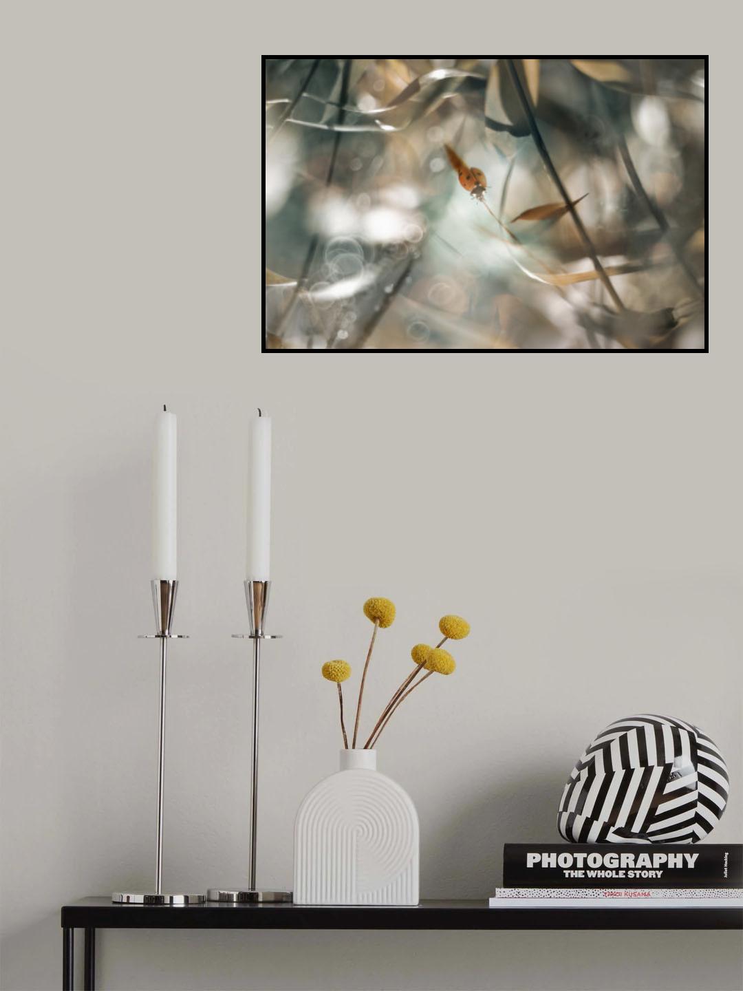 The Lady ll Poster och Canvastavla