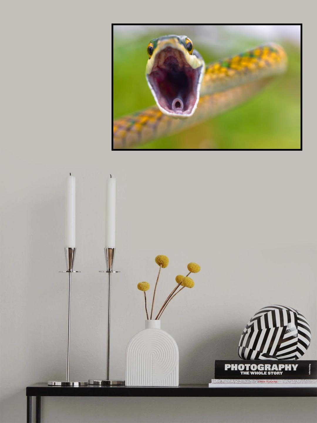 Parotsnake Poster och Canvastavla