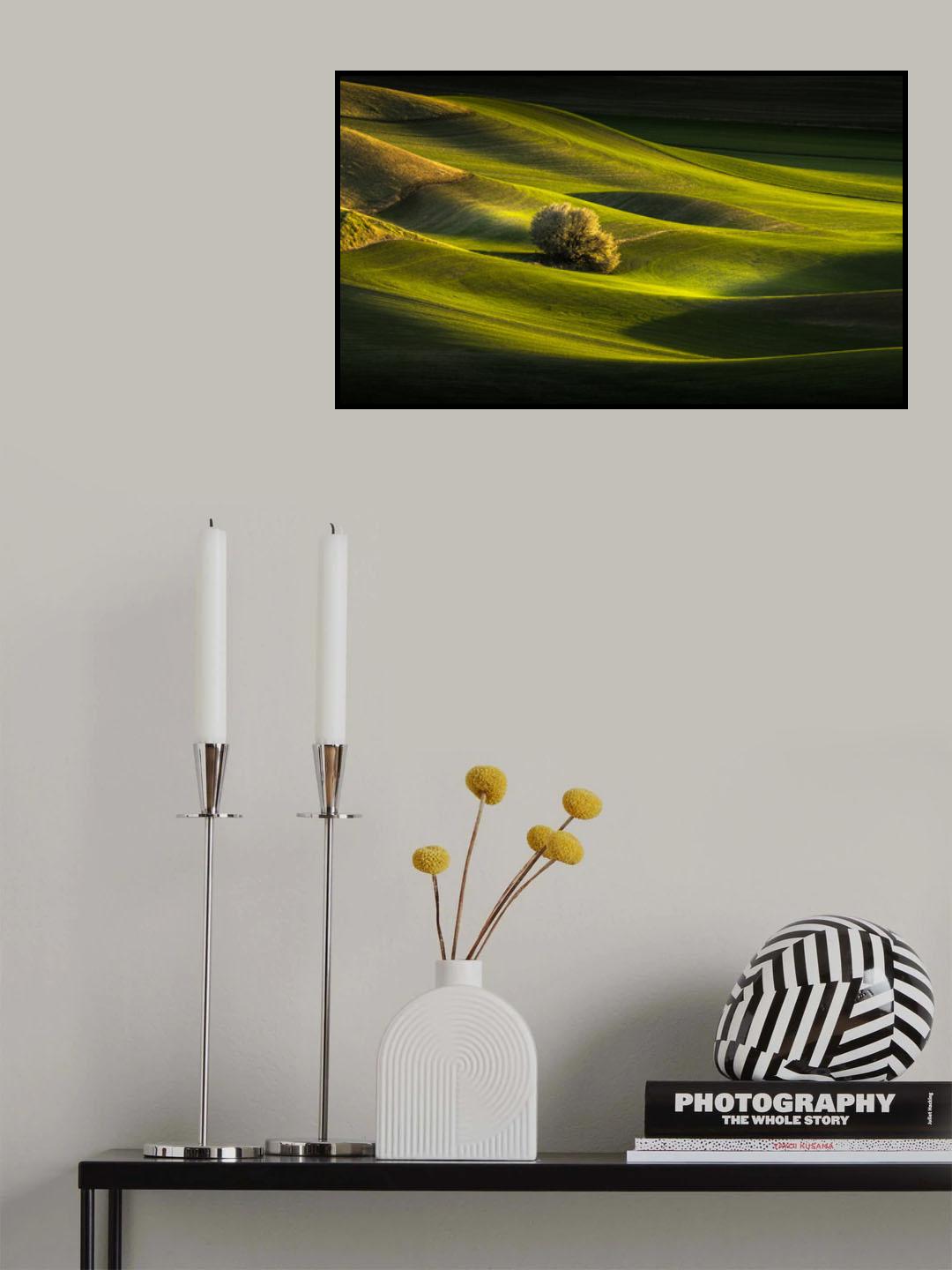 Lonely tree Poster och Canvastavla