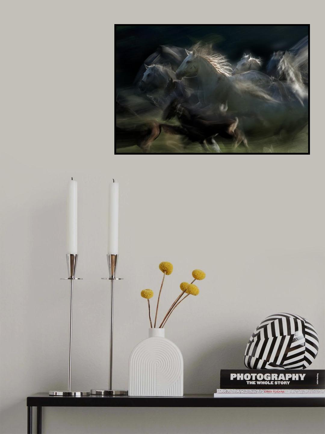 gallop Poster och Canvastavla