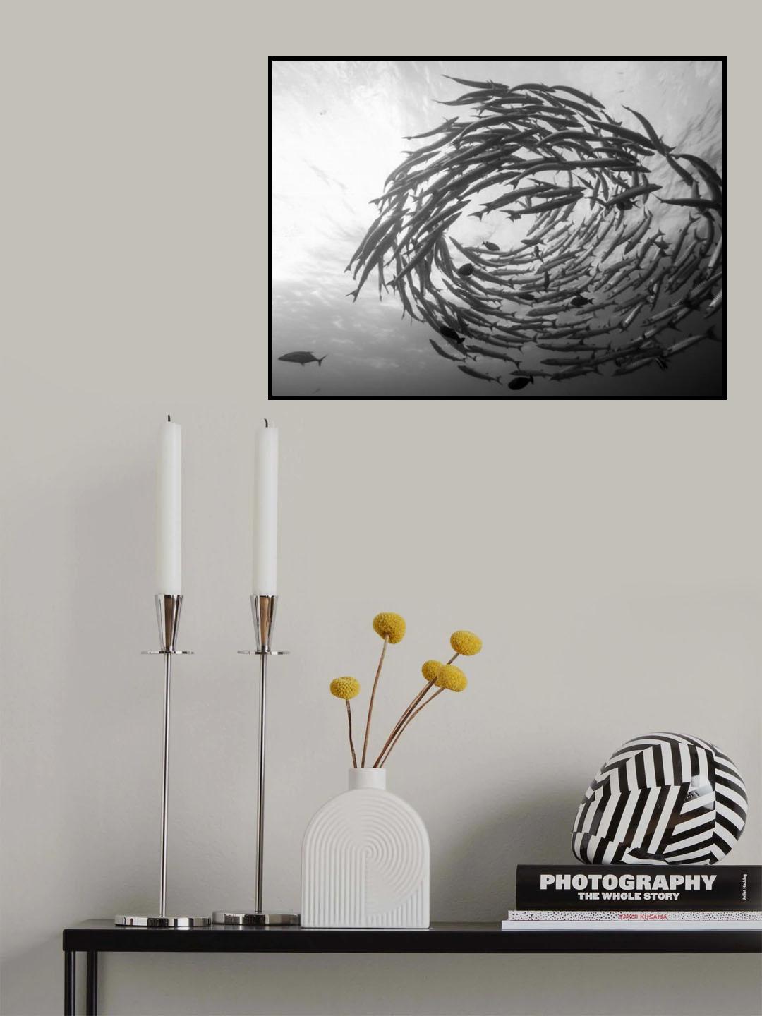 Barracuda Tornado Poster och Canvastavla